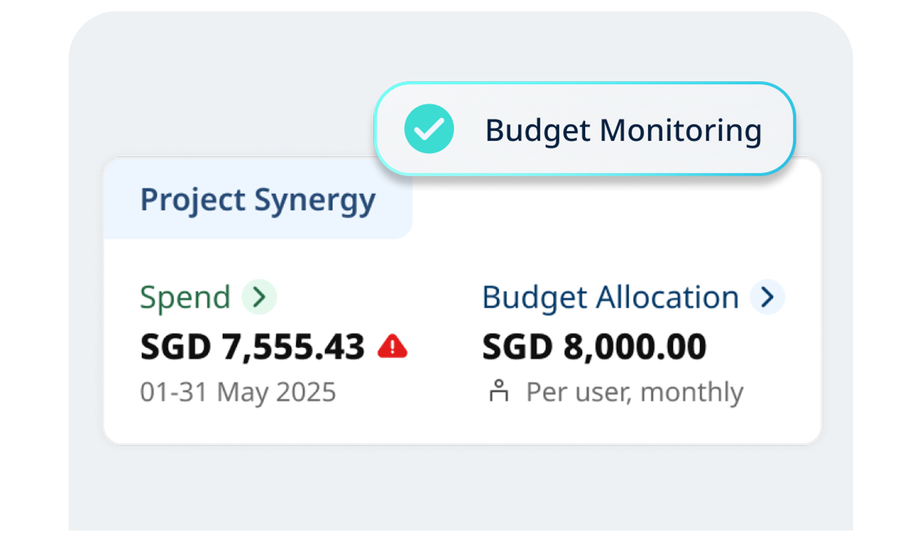 budget-monitoring