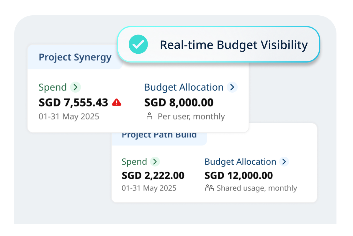 real-time budget vis
