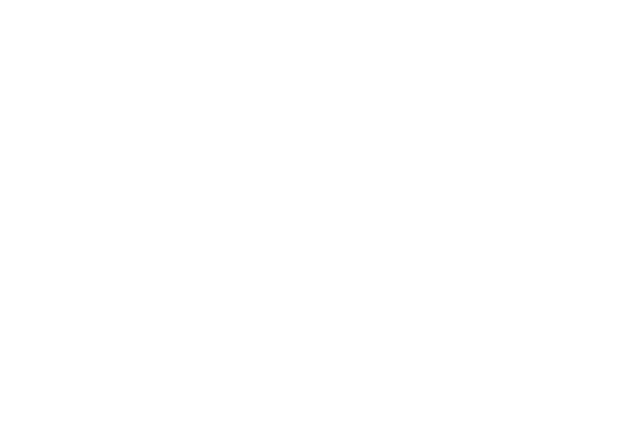 slimstock